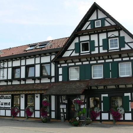 Hotel Landgasthof Blume Lichtenau  Exterior foto